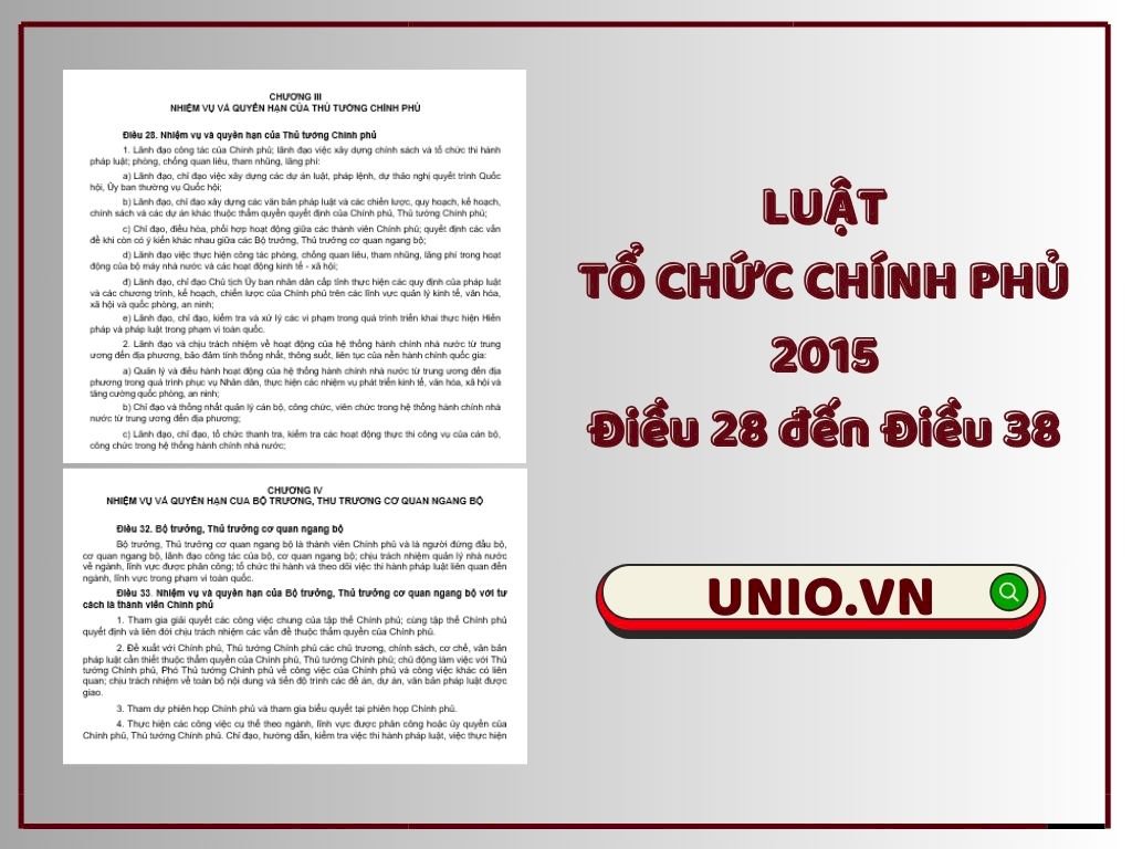 Luật Tổ chức Chính phủ 2015 - Điều 28 đến Điều 38 - Chương III và Chương IV